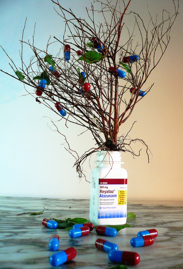 Arbol / Tree, 2014, installation