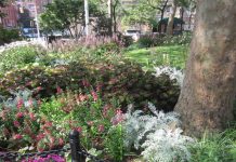 blu sunne: A Blog by Lester Strong: Abingdon Square Secrets