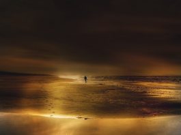 Patient: Poetry by Ben Kline