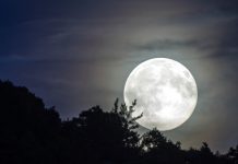 The Moonlight That Fights HIV