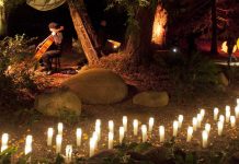 Light in the Grove 2017