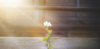 First Ray of Hope?