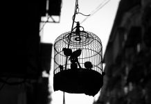 The Police Arrest Me Restocking ARVs: Poetry by Akpa Arinzechukwu