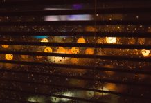 The Little Gods of Desire: Fiction by Robert Cataldo